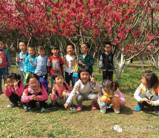 亲近自然，走进春天 ——北京70net永乐高幼儿园春游活动