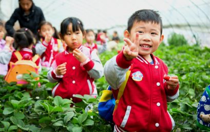 相约草莓采摘园,开启“莓”好生活之旅 —北京70net永乐高幼儿园草莓采摘活动